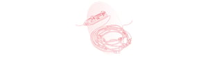 fedegari_group_beyond-eto-sterilizing-complex-medical-devices-in-industrial-applications